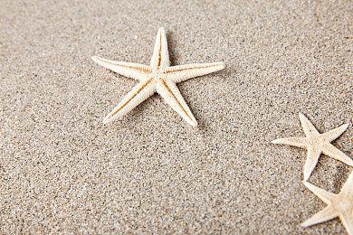 《真女神转生5》芬恩‧麦克库尔、天使、邪灵介绍